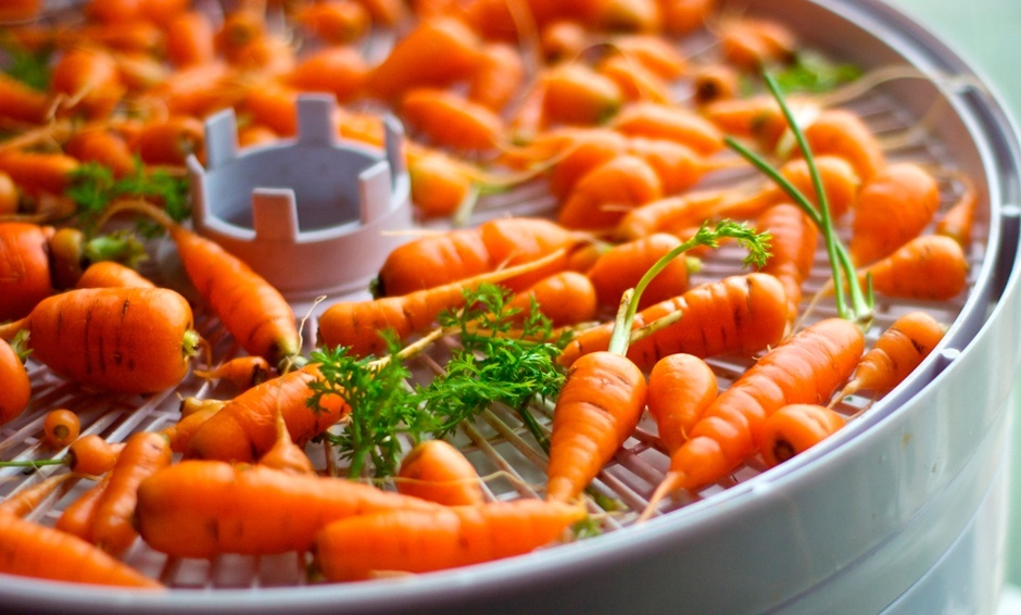 Сушилка для овощей и фруктов