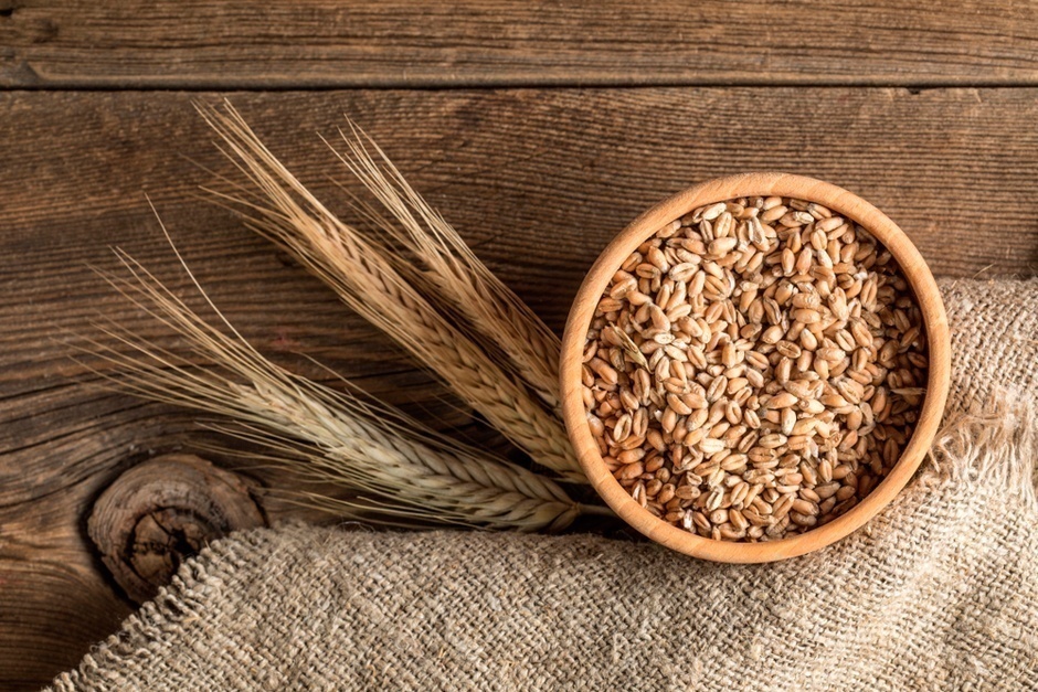 Кормоизмельчитель