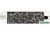 Трюковый самокат Novatrack Pixel 100 110A.PIXELS4.BZ22 (белый) Трюковый самокат Novatrack Pixel 100 110A.PIXELS4.BZ22 (белый)