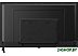 Телевизор BLACKTON Bt 43S06B