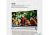 Телевизор Evolution WOSQ55MR1SBUHD