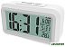 Радиочасы Ritmix CAT-100 (белый) Радиочасы Ritmix CAT-100 (белый)