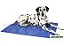 Подстилка для животных Scruffs Cool Mat 934613 (голубой)