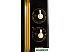 Микроволновая печь Gorenje MO4250CLB Микроволновая печь Gorenje MO4250CLB