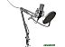 Микрофон Ritmix RDM-169 Микрофон Ritmix RDM-169