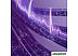 Жесткий диск Western Digital (WD) Purple Pro 10TB WD101PURP