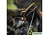 Секатор Fiskars X-series PowerGear X KF L P961 1057175 Секатор Fiskars X-series PowerGear X KF L P961 1057175