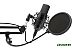 Микрофон Ritmix RDM-169 Микрофон Ritmix RDM-169
