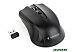 Мышь Gembird MUSW-4B-04
