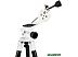 Телескоп Veber PolarStar II 700/80AZ рефрактор