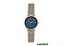 Наручные часы Skagen SKW2837 Наручные часы Skagen SKW2837