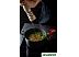 Кастрюля Gastrolux A17-250 Кастрюля Gastrolux A17-250