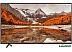 Телевизор Thomson T43FSL6060 Телевизор Thomson T43FSL6060