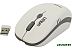 Компьютерная мышь SmartBuy Wireless Optical Mouse SBM-344CAG-WG (белый/серый)