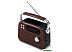 Радиоприемник Ritmix RPR-045 (коричневый) Радиоприемник Ritmix RPR-045 (коричневый)