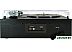 Виниловый проигрыватель Ritmix LP-200B Виниловый проигрыватель Ritmix LP-200B