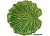 Салатник Fissman Green 6190 Салатник Fissman Green 6190