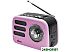 Радиоприемник Ritmix RPR-033 (розовый) Радиоприемник Ritmix RPR-033 (розовый)