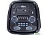 Патибокс (колонка для вечеринок) Ritmix SP-935B