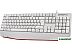 Клавиатура Defender Atom HB-546 (белый) Клавиатура Defender Atom HB-546 (белый)