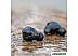 Наушники Anker SoundCore Life Dot 2