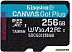Карта памяти Kingston Canvas Go! Plus microSDXC 256GB (SDCG3/256GBSP)
