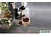 Эспрессо кофемашина DeLonghi Perfecta Evo ESAM 420.80.TB Эспрессо кофемашина DeLonghi Perfecta Evo ESAM 420.80.TB