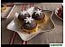 Салатник Villeroy & Boch Winter Bakery Delight Новогодняя елка 14-8612-3776 Салатник Villeroy & Boch Winter Bakery Delight Новогодняя елка 14-8612-3776