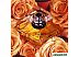 Парфюмерная вода Lancome Tresor (30 мл)