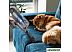 Пылесос Redmond RV-UR361 Пылесос Redmond RV-UR361