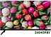 Телевизор BQ 32FS40B Телевизор BQ 32FS40B