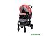 Детская прогулочная коляска Lorelli (Bertoni) Daisy Basic Black Ginger Orang (10021632181) Детская прогулочная коляска Lorelli (Bertoni) Daisy Basic Black Ginger Orang (10021632181)