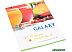 Соковыжималка GALAXY GL 0806 Соковыжималка GALAXY GL 0806