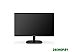 Монитор AOC 24B2XDM (черный)