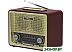 Радиоприемник Ritmix RPR-088 (золотистый) Радиоприемник Ritmix RPR-088 (золотистый)