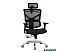 Кресло Evolution ERGO Mesh (черный) Кресло Evolution ERGO Mesh (черный)