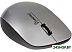 Мышь беспроводная SmartBuy 309AG Silver/Black (SBM-309AG-SK)