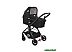 Универсальная коляска Lorelli (Bertoni) Patrizia (2 в 1, black) Универсальная коляска Lorelli (Bertoni) Patrizia (2 в 1, black)