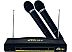 Микрофонная система беспроводная Ritmix RWM-220 (уценка арт. 195349) Микрофонная система беспроводная Ritmix RWM-220 (уценка арт. 195349)