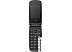 Кнопочный телефон F+ Flip 2 (черный)