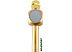 Микрофон Wster WS-1816 (золотистый) Микрофон Wster WS-1816 (золотистый)