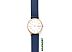 Наручные часы Skagen SKW2838 Наручные часы Skagen SKW2838