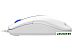 Мышь A4Tech N-530 (белый) Мышь A4Tech N-530 (белый)