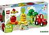 Конструктор LEGO Duplo 10982 Трактор для перевозки овощей и фруктов Конструктор LEGO Duplo 10982 Трактор для перевозки овощей и фруктов