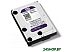 Жесткий диск Western Digital 1Tb Purple (WD10PURZ)