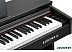 Цифровое пианино Kurzweil M90 (черный палисандр)