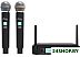 Микрофон Ritmix RWM-222 Микрофон Ritmix RWM-222