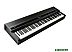 Цифровое пианино Kurzweil MPS110