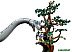 Конструктор LEGO Jurassic World 76960 Встреча с Брахиозавром Конструктор LEGO Jurassic World 76960 Встреча с Брахиозавром