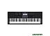 Синтезатор Casio CT-X800 Синтезатор Casio CT-X800